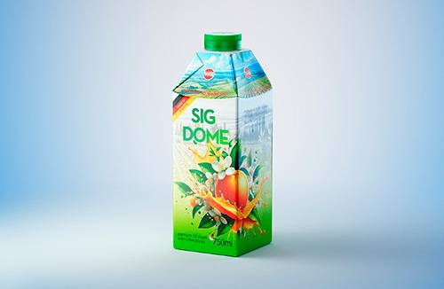 SIG DOME (CombiDome) 1000ml with tethered cap DomeTwist premium carton packaging 3d model