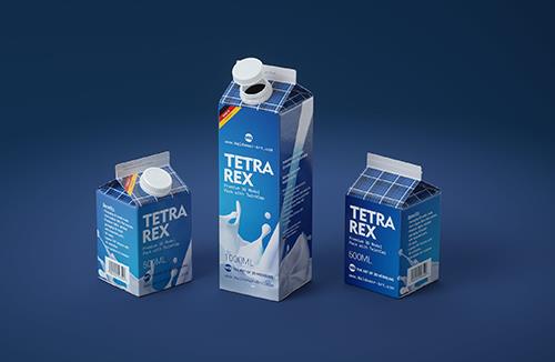 Packaging 3D model pak of Tetra Pack Top 1000ml Base with Katla S38