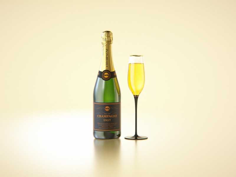 Champagne glass bottle 750ml 3d model for sparkling wine, with foil, labels, plastic cork and glass of wine