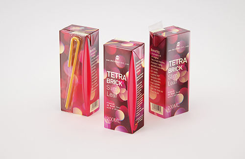 Tetra Pack Brick Slim 125ml with Pull Tab and a packaged straw packaging 3d model pak