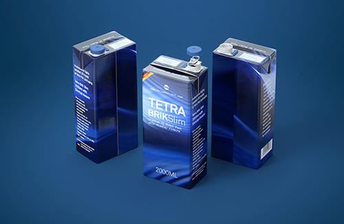 Premium Packaging 3D Model of corrugated cardboard box for 12x500ml Tetra Prizma Square or Prizma Edge