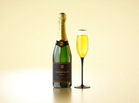 Champagne glass bottle 750ml 3d model for sparkling wine, with foil, labels, plastic cork and glass of wine