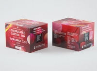 Packaging 3D model of Corrugated Cardboard Box for x12 Tetra Brick Edge 250ml