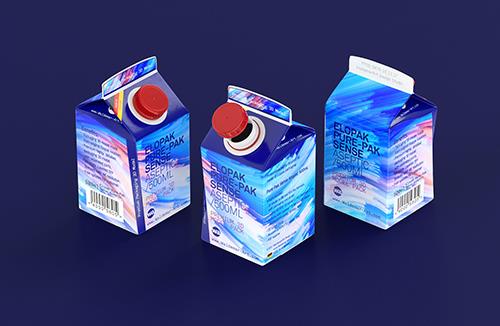 Elopak Pure-Pak Sense Aseptic 500ml Carton packaging 3D model