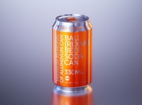 BALL (REXAM) Metal Standard Soda Can 330ml packaging 3D model
