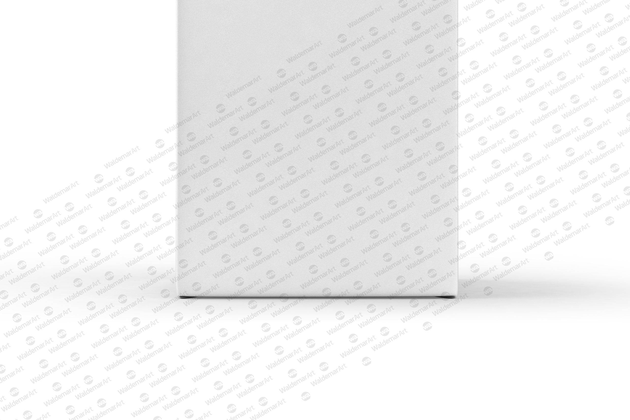 Package Mock-Up of Tetra Pack Brick Aseptic 1000ml with LightCap30 Front View