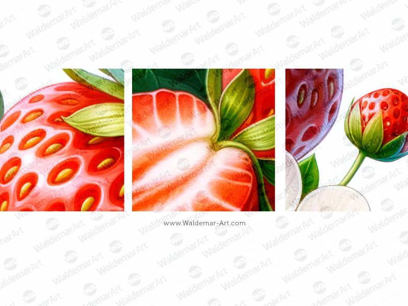 Strawberry with sliced berry, blossom and leaves premium watercolor illustration