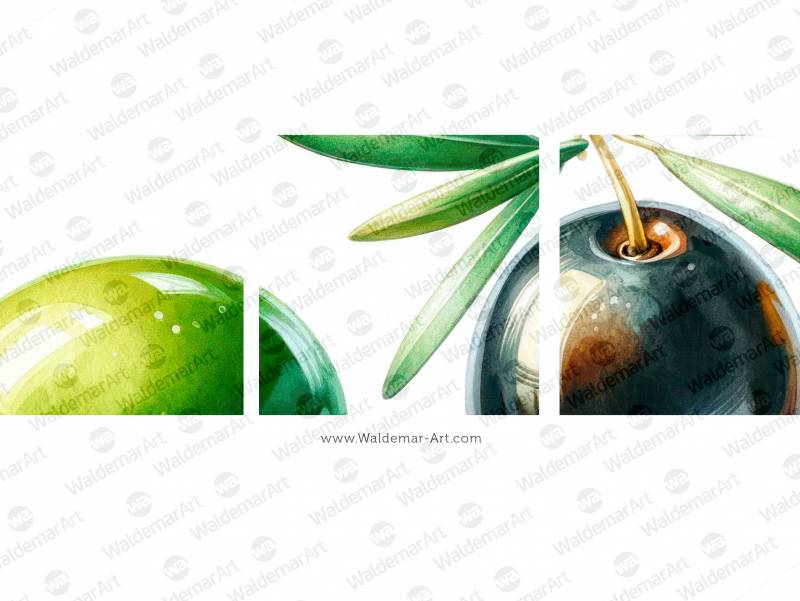 Premium Digital Watercolor Illustration with two green olives and one black olive with a shiny drop of olive oils