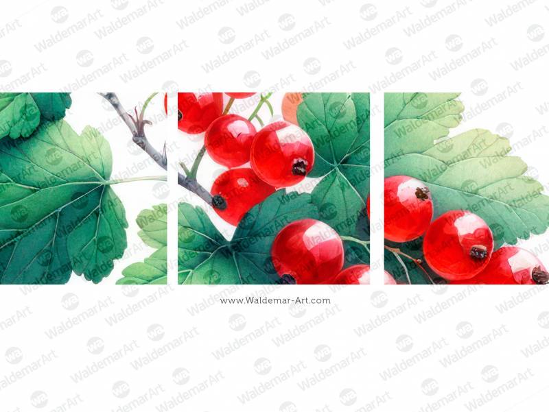 Premium Digital Watercolor Illustration with a small cluster of red currant berries and a medium-sized leaf