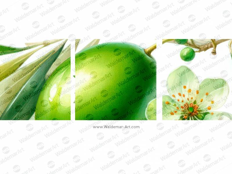Premium Digital Watercolor Illustration of a single green olive, accompanied by a few small leaves and blossoms