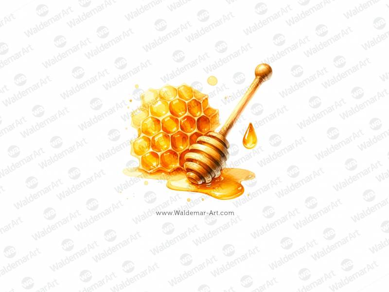 Honeycomb and honey dipper on a white background premium watercolor digital illustration