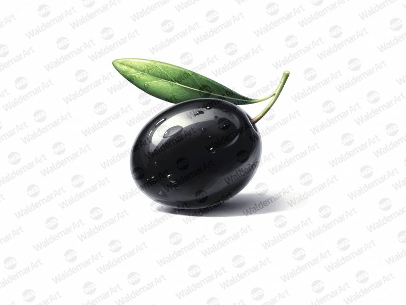 Premium Digital Watercolor Illustration featuring a single black olive with a vibrant green leaf