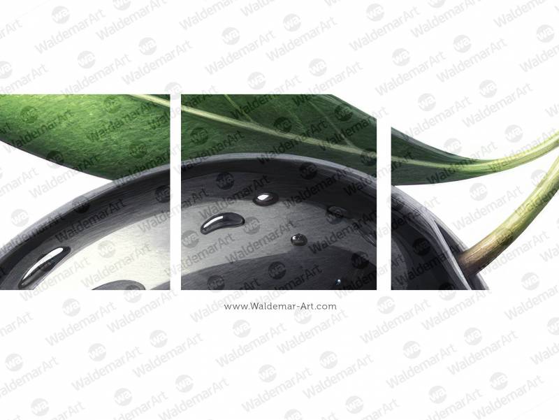 Premium Digital Watercolor Illustration featuring a single black olive with a vibrant green leaf