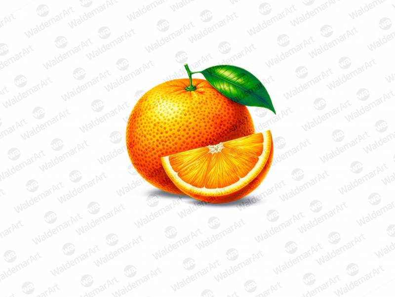 Premium Digital Watercolor Illustration featuring aa whole orange with one green leaf attached and a quarter slice of an orange