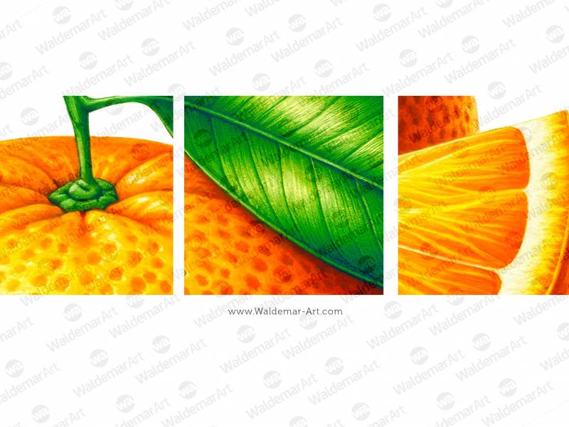 Premium Digital Watercolor Illustration featuring aa whole orange with one green leaf attached and a quarter slice of an orange