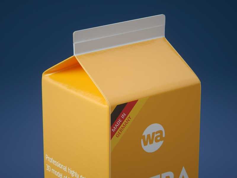 Tetra Pack REX 1000ml Professional carton packaging 3D model pak