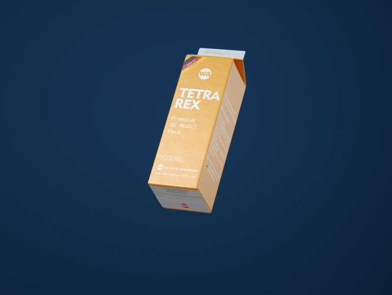 Tetra Pack REX 1000ml Professional carton packaging 3D model pak