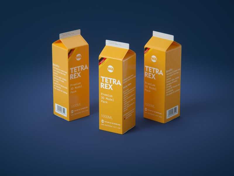 Tetra Pack REX 1000ml Professional carton packaging 3D model pak