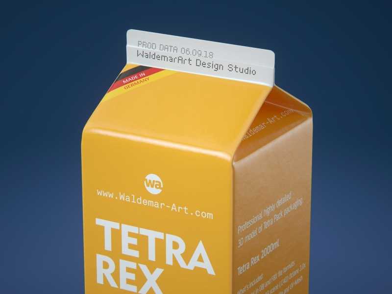 Tetra Pack REX 2000ml Professional carton packaging 3D model pak
