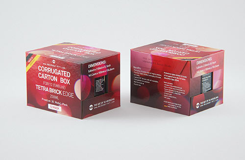 Package Mock-up of Tetra Pack Rex 500ml with TwistCap Front View