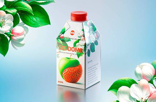 Packaging MockUp of Tetra Pack Brick Aseptic 1000ml with LightCap30 Front-Side View