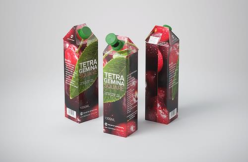 Mockup of Tetra Pack Top 1000ml with Orinoco S38 - Side view