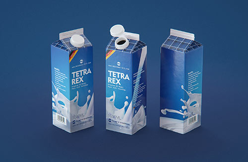 Tetra Pack Brick Slim 330ml with a Straw and Pull Tab packaging 3D model pak